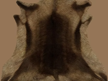 Animal Blanket texture (ID:ffagg49910)