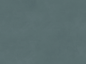 fine grain leather texture (ID:ffabg33662)