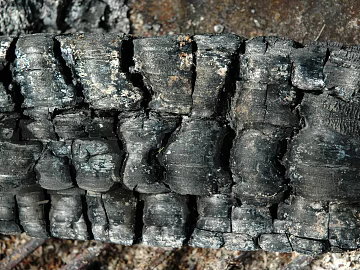 Burning wood texture (ID:ffagg18551)