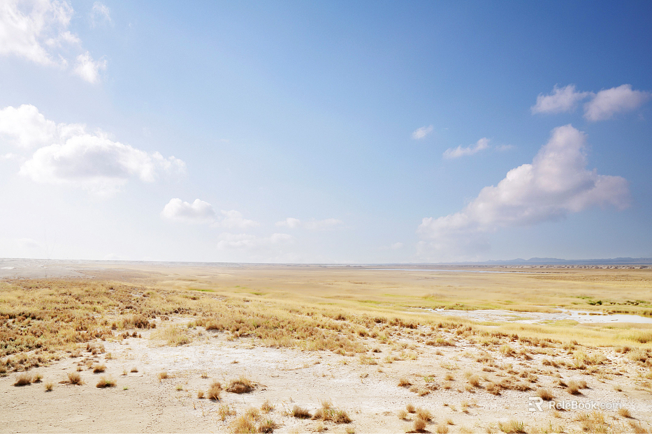 Wild Scenery texture