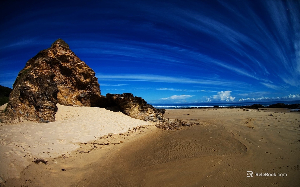 Wild Scenery texture