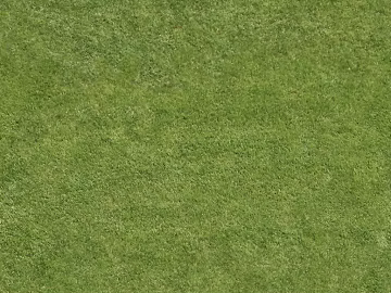 Turf texture (ID:ffaeg76574)