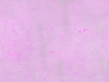 Mud texture (ID:ffajg15041)