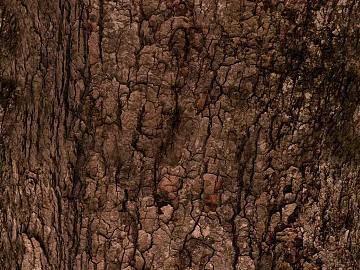 Natural grain of dark brown bark texture (ID:ffaeh209874)
