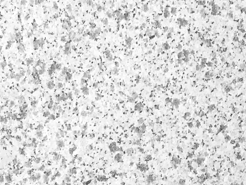 granite litchi surface white hemp stone brick texture (ID:ffacg02103)