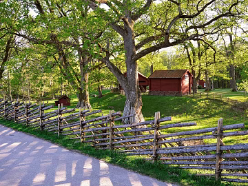 Window Exterior Outdoor Landscape Nature Exterior Rural Exterior Exterior Exterior texture (ID:ffach693385)
