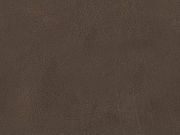 Coarse-grain leather 3d model