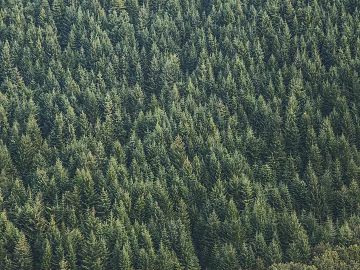 landscape painting texture (ID:ffabg93212)