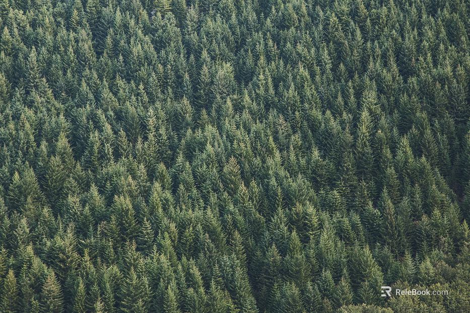 landscape painting texture