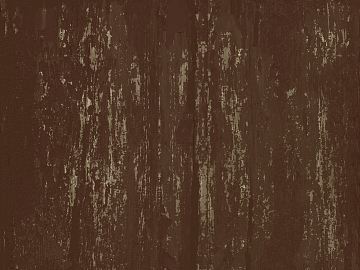 old wood texture (ID:ffagg05110)