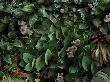 Plants texture (ID:ffabg43569)