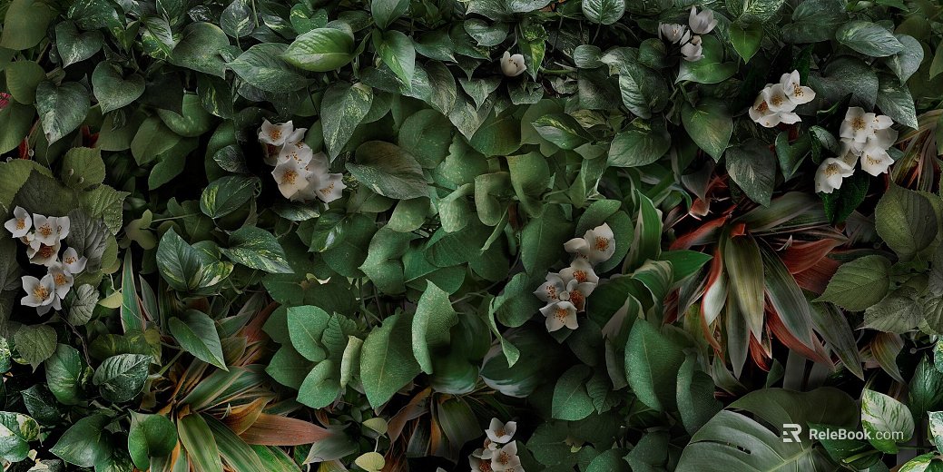 Plants texture