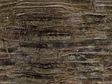 bark texture (ID:ffajg21272)