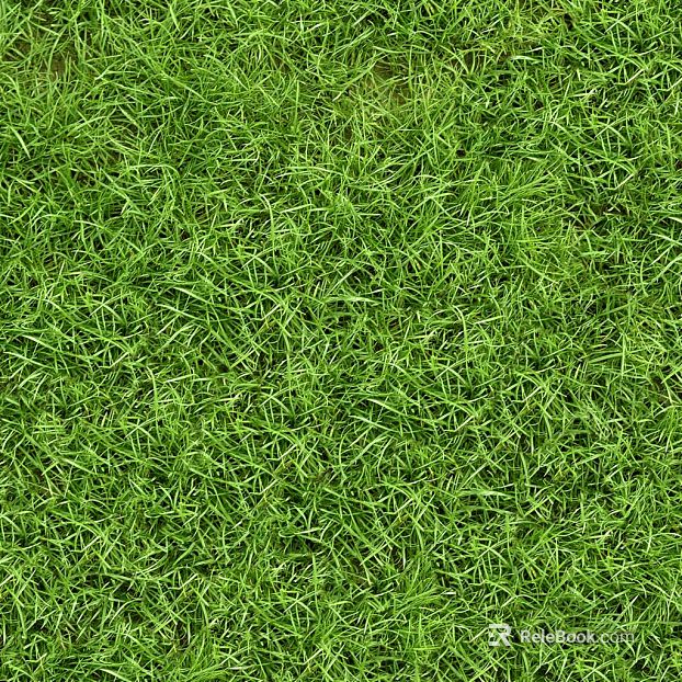 Turf texture