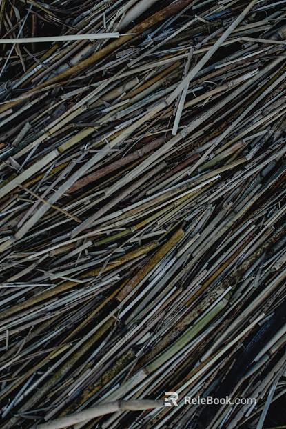 Bamboo texture