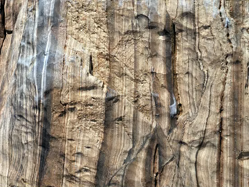bark texture (ID:ffaag01297)