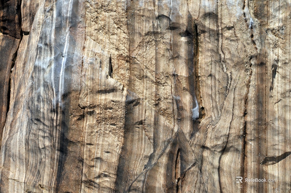 bark texture