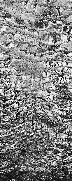 Black and White Bump texture