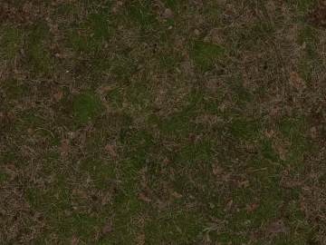 Grassland texture (ID:ffagg46510)