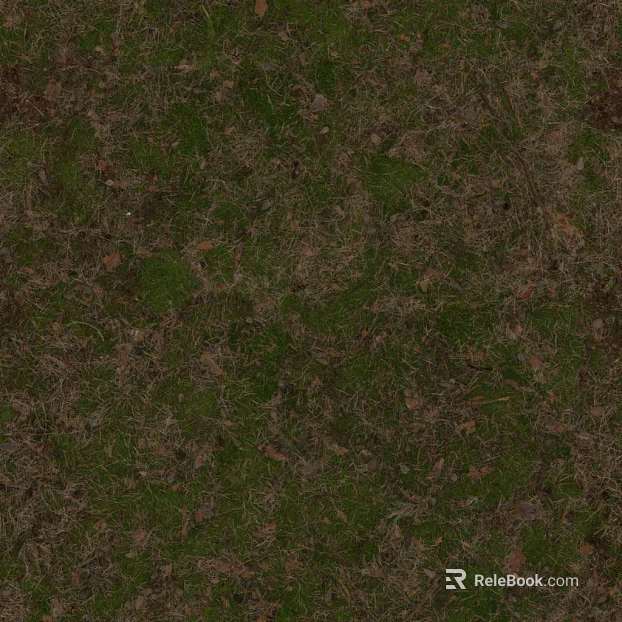 Grassland texture