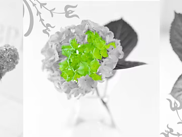 Plant painting texture (ID:ffacg36023)
