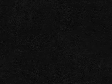 Coarse-grain leather texture (ID:ffaff9176)