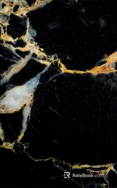 Black Golden Flower Marble texture