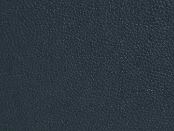 Coarse-grain leather 3d model