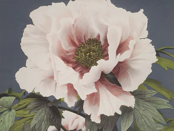 Plant painting texture (ID:ffajg95344)