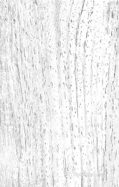 Black and White Bump texture