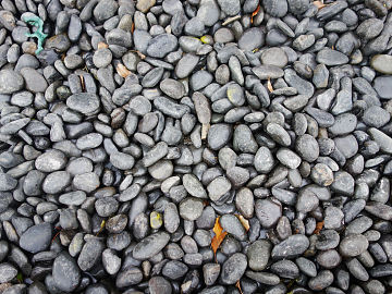 Pebbles texture (ID:ffaeg21758)