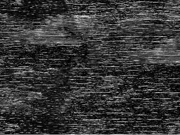 Black and white wood grain texture (ID:ffabg43874)