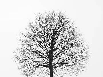 black and white painting texture (ID:ffaeg47406)