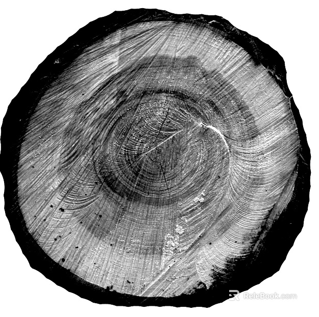 annual rings texture