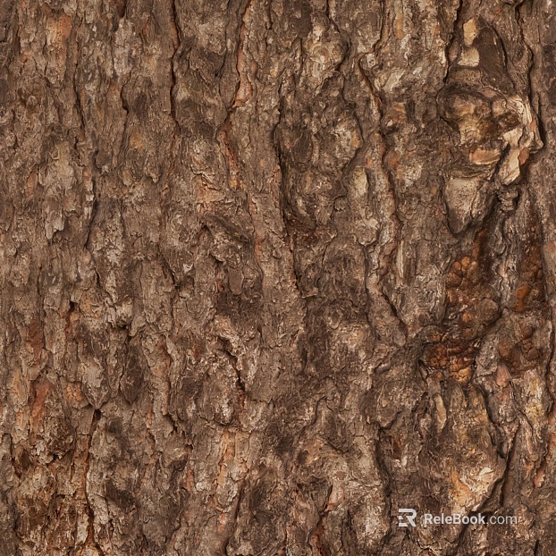 bark texture
