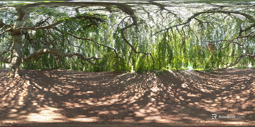 Outdoor Woods Day HDR Map texture