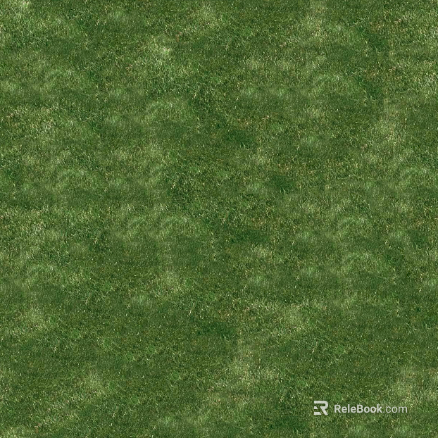 Grass Turf Slope texture