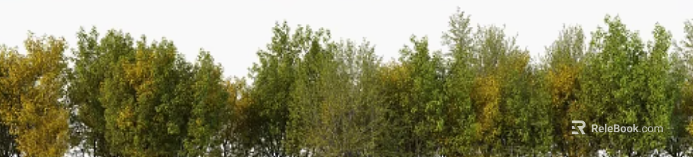 Yellow-green forest with outdoor landscape texture