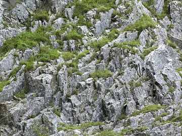 Rock texture (ID:ffacg80725)