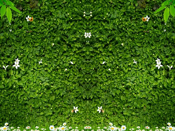 Plant wall texture (ID:ffaeg49856)