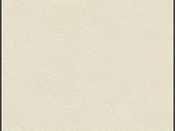 True stone paint texture (ID:ffajg51506)