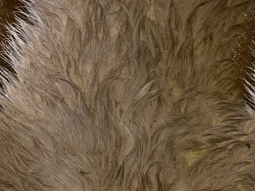 animal skin texture (ID:ffacg98033)