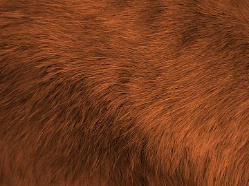 animal fur texture (ID:ffabg63031)