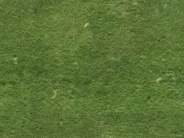 Turf texture (ID:ffajg69504)