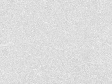 Light gray terrazzo indoor flooring texture (ID:ffaeh596884)
