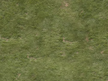 Turf texture (ID:ffabg31075)