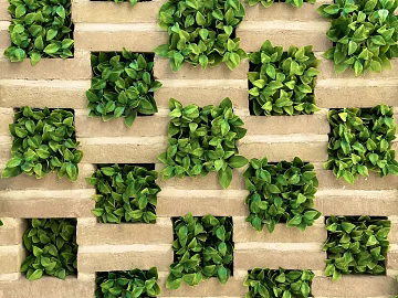 Plant wall texture (ID:ffabg70812)