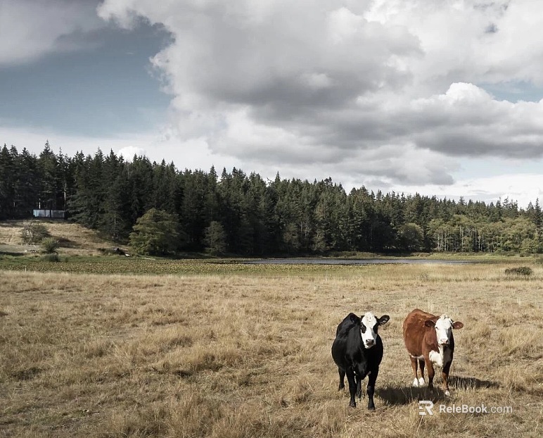 Wild Scenery texture