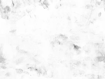 Light gray texture art paint wall (ID:ffaeh988382)