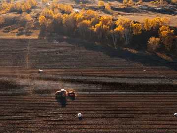 Pastoral scenery texture (ID:ffach117575)